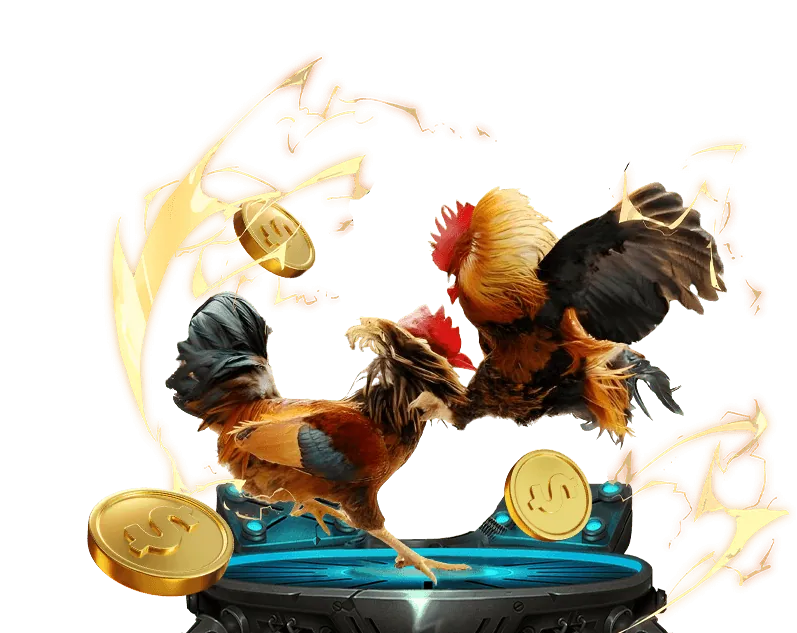 Chương Trình Thành Viên VIP tại trực tiếp đá gà casino 67